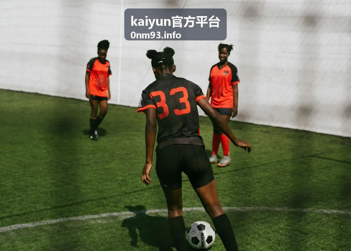kaiyun官方平台会员权益对照说明封面