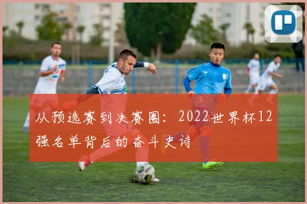 从预选赛到决赛圈：2022世界杯12强名单背后的奋斗史诗