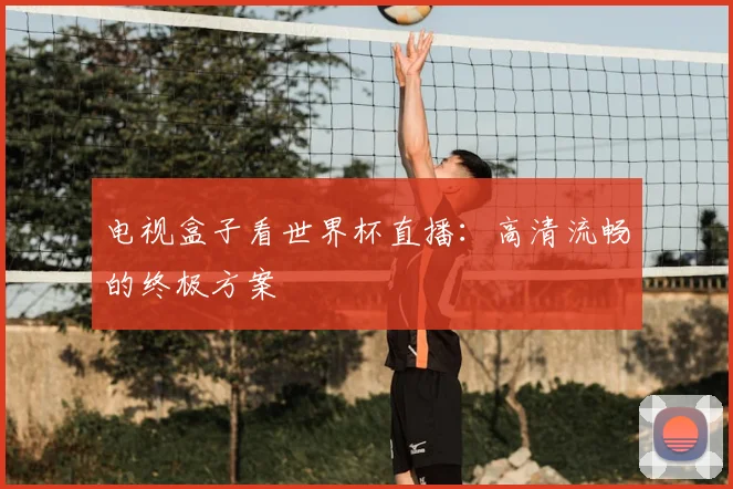 电视盒子看世界杯直播：高清流畅的终极方案