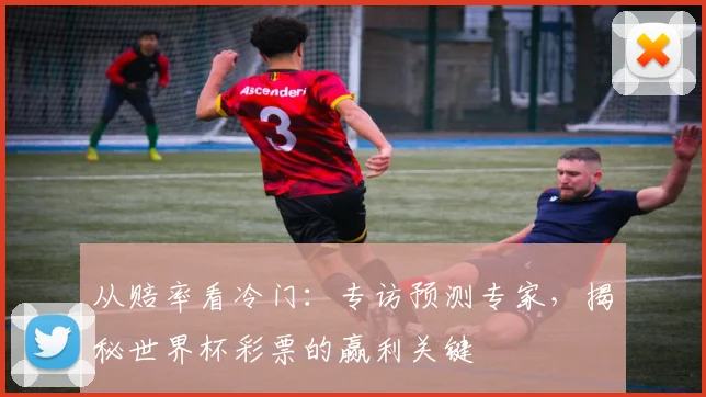 从赔率看冷门：专访预测专家，揭秘世界杯彩票的赢利关键
