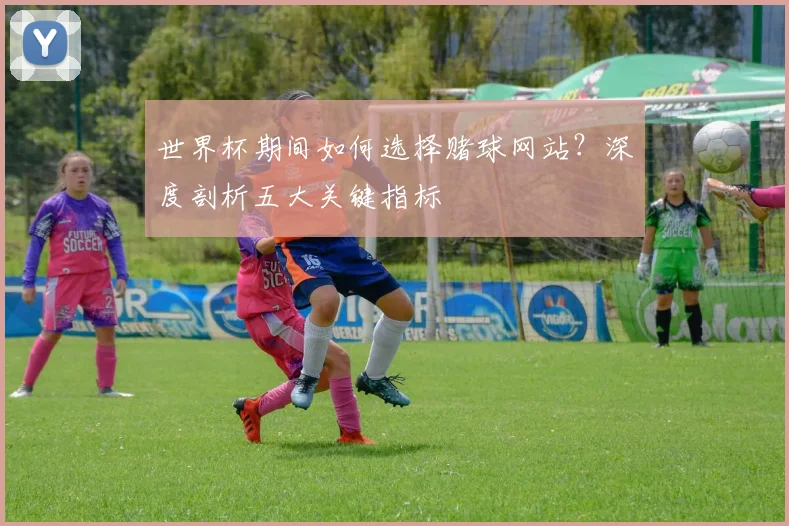 世界杯期间如何选择赌球网站？深度剖析五大关键指标
