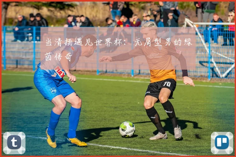 当清扬遇见世界杯:无屑型男的绿茵传奇