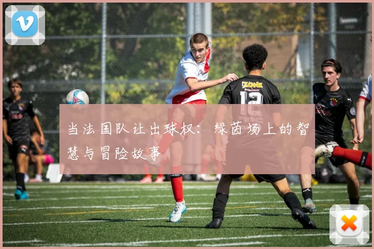 当法国队让出球权：绿茵场上的智慧与冒险故事