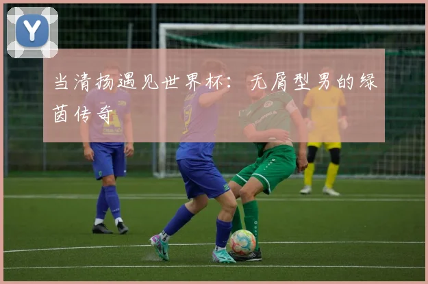 当清扬遇见世界杯:无屑型男的绿茵传奇