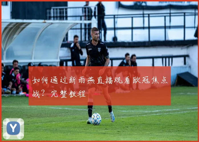 如何通过新雨燕直播观看欧冠焦点战？完整教程