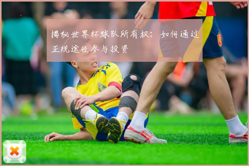 揭秘世界杯球队所有权：如何通过正规途径参与投资